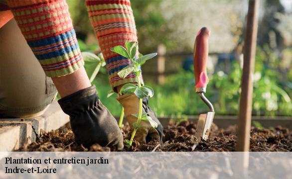 Plantation et entretien jardin Indre-et-Loire 