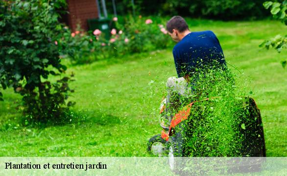 Plantation et entretien jardin Indre-et-Loire 