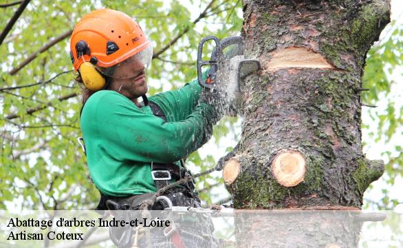 Abattage d'arbres 37 Indre-et-Loire  Artisan Coteux