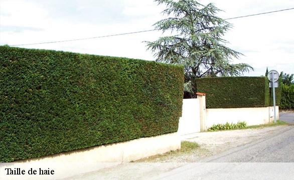 Taille de haie Indre-et-Loire 