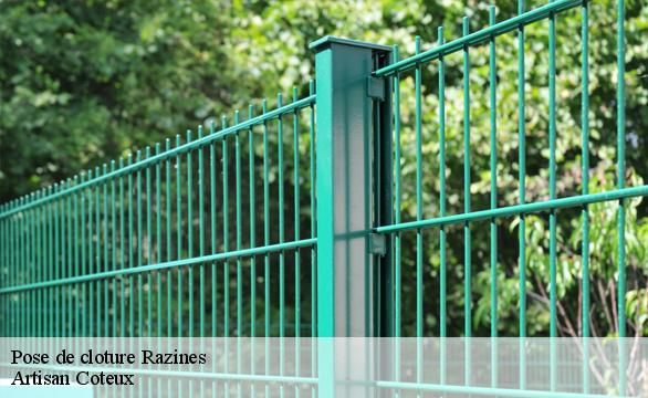 Pose de cloture razines-37120 Artisan Coteux