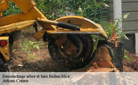 Dessouchage arbre et haie  ballan-mire-37510 Artisan Coteux