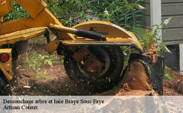Dessouchage arbre et haie  braye-sous-faye-37120 Artisan Coteux