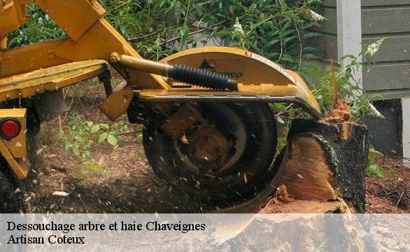 Dessouchage arbre et haie  chaveignes-37120 Artisan Coteux