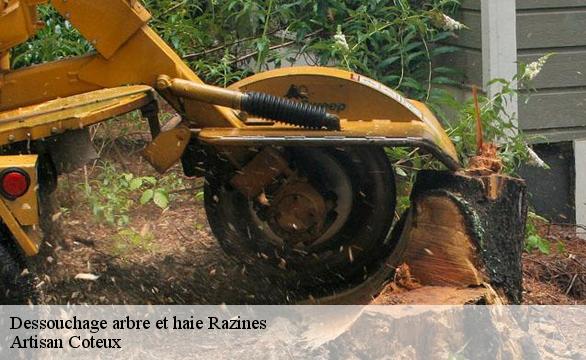 Dessouchage arbre et haie razines-37120 Artisan Coteux