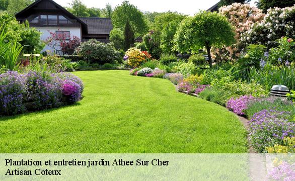 Plantation et entretien jardin  athee-sur-cher-37270 Artisan Coteux