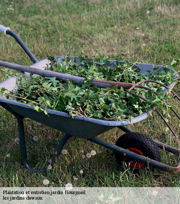 Plantation et entretien jardin  bourgueil-37140 les jardins dawson
