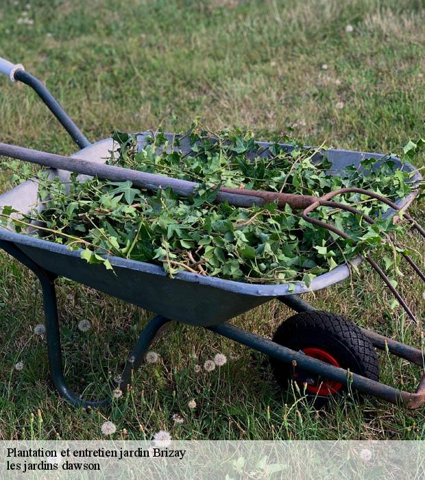 Plantation et entretien jardin  brizay-37220 les jardins dawson