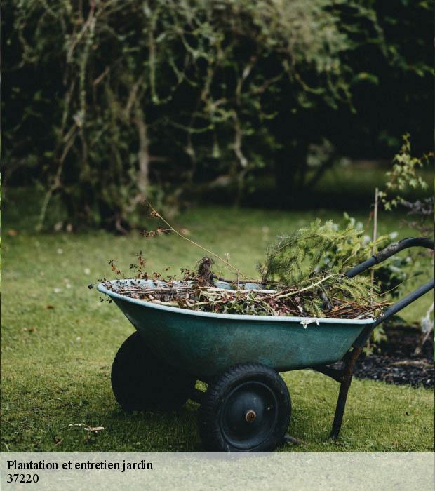 Plantation et entretien jardin  37220