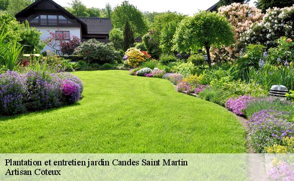 Plantation et entretien jardin  candes-saint-martin-37500 Artisan Coteux