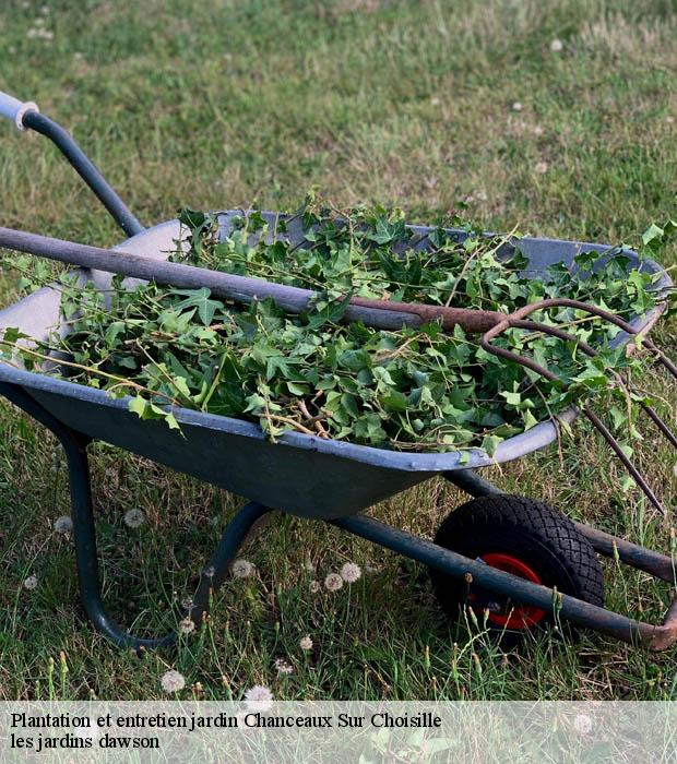 Plantation et entretien jardin  chanceaux-sur-choisille-37390 les jardins dawson