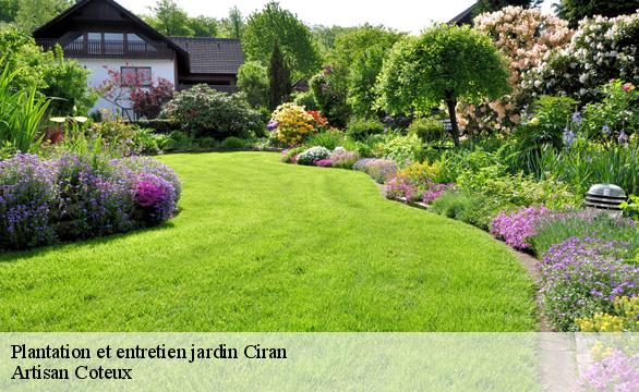 Plantation et entretien jardin ciran-37240 Artisan Coteux