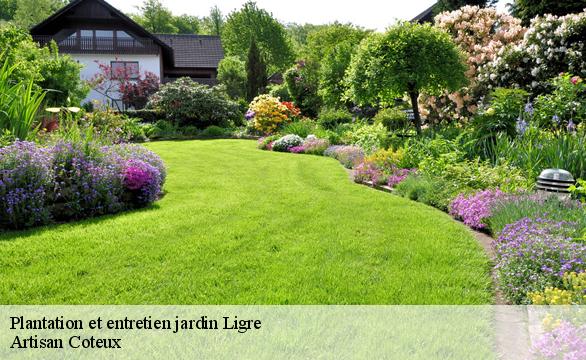 Plantation et entretien jardin  ligre-37500 Artisan Coteux