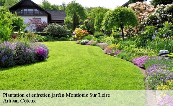 Plantation et entretien jardin montlouis-sur-loire-37270 Artisan Coteux