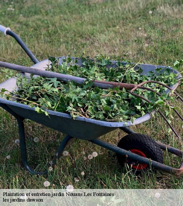 Plantation et entretien jardin  nouans-les-fontaines-37460 les jardins dawson