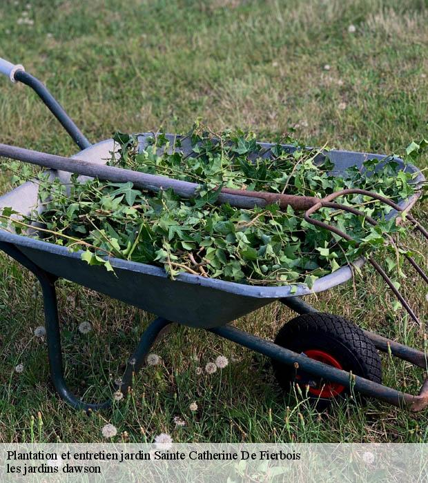 Plantation et entretien jardin  sainte-catherine-de-fierbois-37800 les jardins dawson