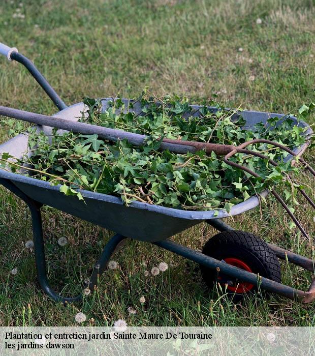 Plantation et entretien jardin  sainte-maure-de-touraine-37800 les jardins dawson