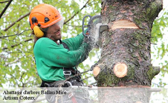 Abattage d'arbres  ballan-mire-37510 Artisan Coteux