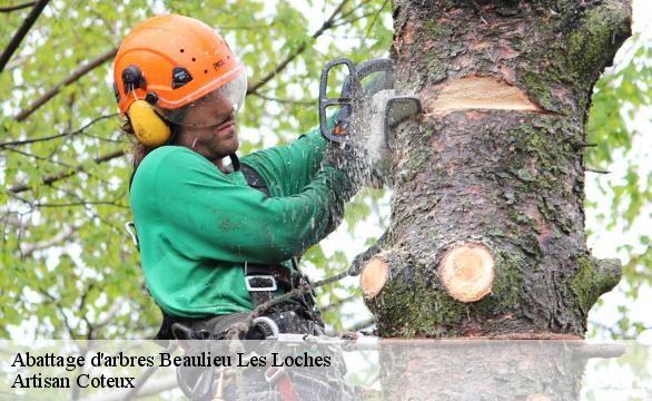 Abattage d'arbres  beaulieu-les-loches-37600 Artisan Coteux