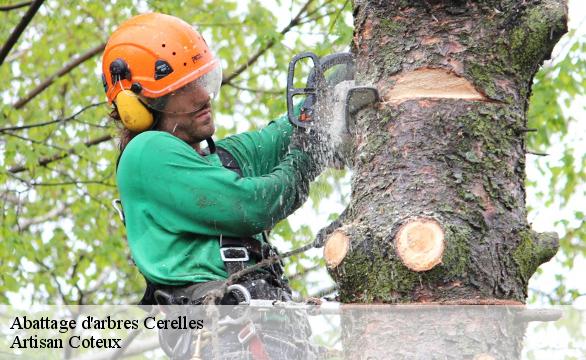 Abattage d'arbres  cerelles-37390 Artisan Coteux