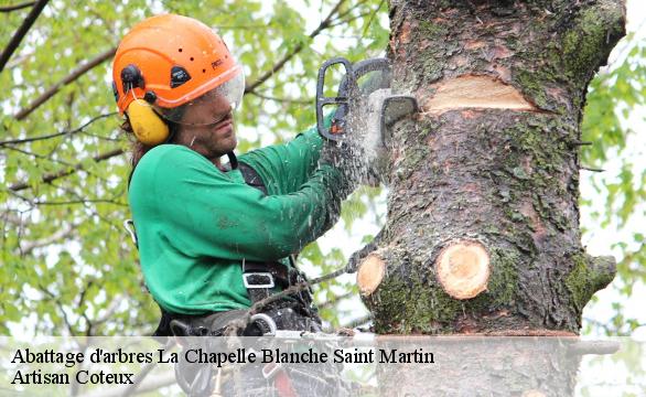 Abattage d'arbres la-chapelle-blanche-saint-martin-37240 Artisan Coteux