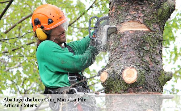 Abattage d'arbres cinq-mars-la-pile-37130 Artisan Coteux