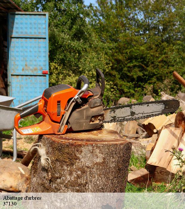 Abattage d'arbres  37130