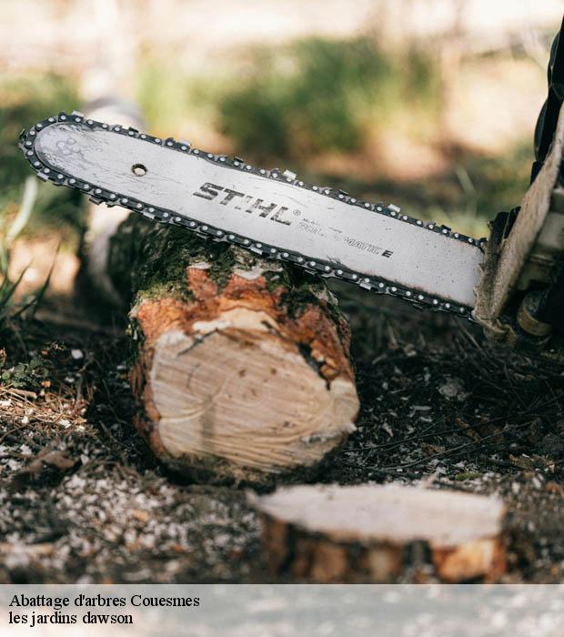 Abattage d'arbres  couesmes-37330 les jardins dawson