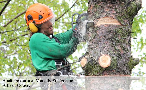 Abattage d'arbres marcilly-sur-vienne-37800 Artisan Coteux