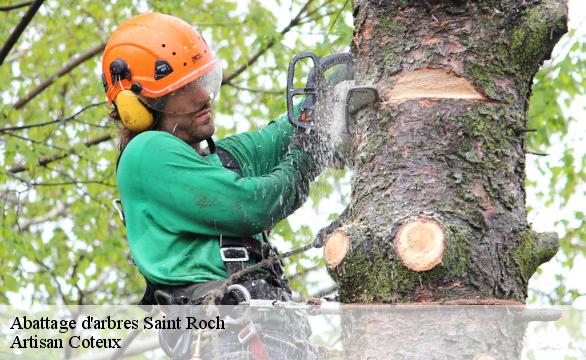 Abattage d'arbres saint-roch-37390 Artisan Coteux