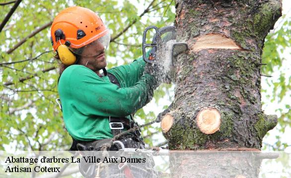 Abattage d'arbres la-ville-aux-dames-37700 Artisan Coteux
