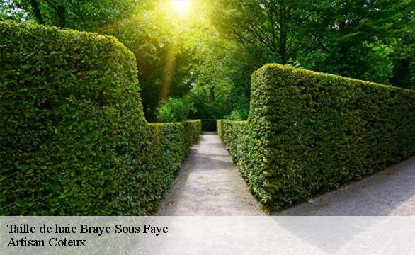 Taille de haie  braye-sous-faye-37120 Artisan Coteux