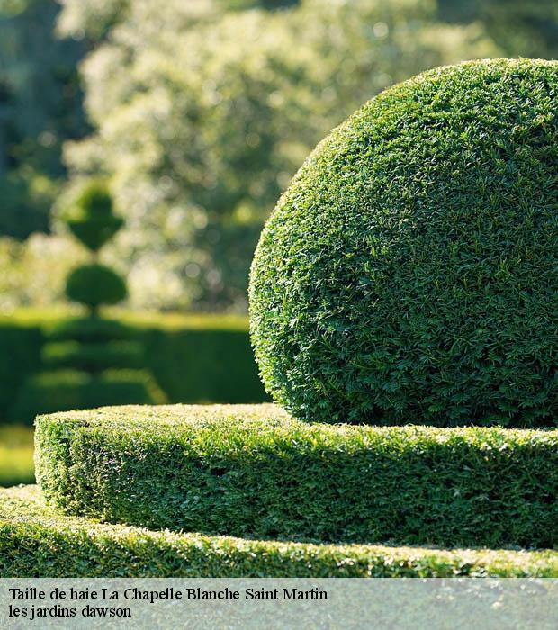 Taille de haie  la-chapelle-blanche-saint-martin-37240 les jardins dawson