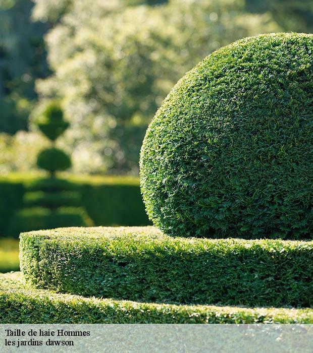 Taille de haie  hommes-37340 les jardins dawson