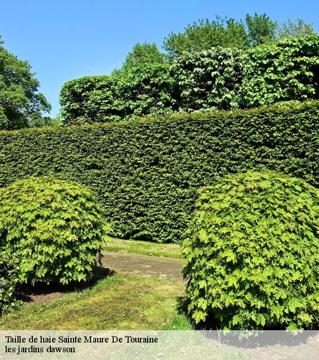 Taille de haie  sainte-maure-de-touraine-37800 les jardins dawson