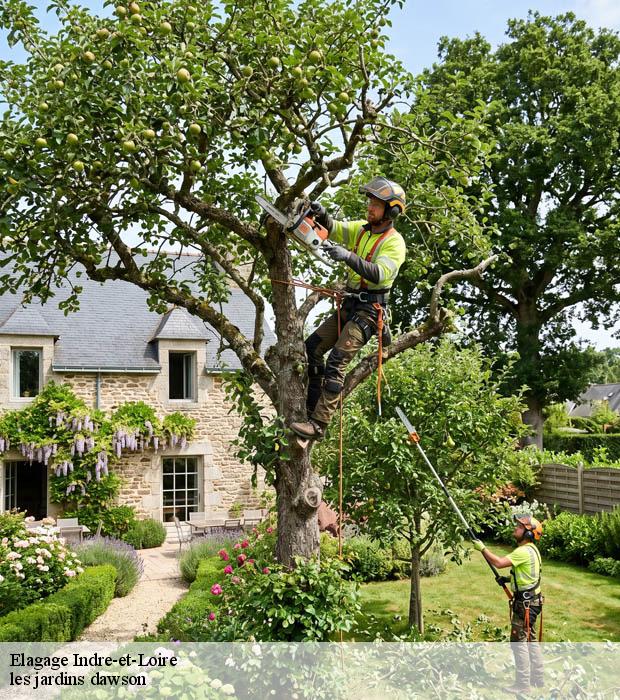 Elagage 37 Indre-et-Loire  les jardins dawson