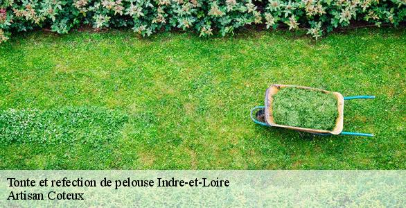 Tonte et refection de pelouse 37 Indre-et-Loire  Artisan Coteux