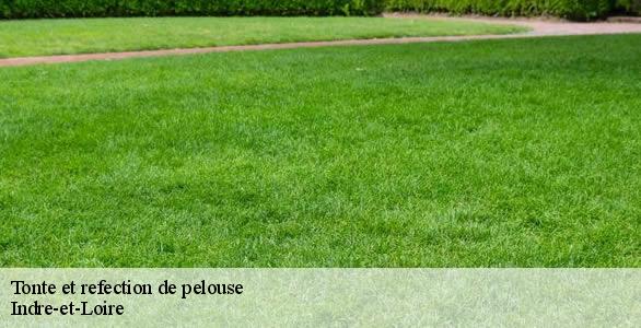 Tonte et refection de pelouse Indre-et-Loire 
