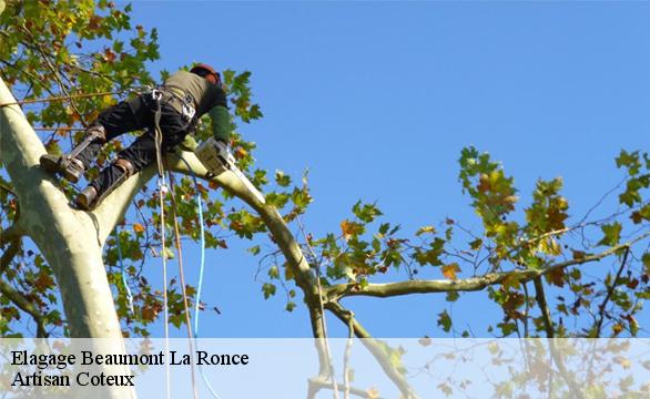 Elagage  beaumont-la-ronce-37360 Artisan Coteux