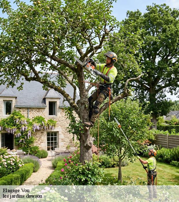 Elagage  vou-37240 les jardins dawson