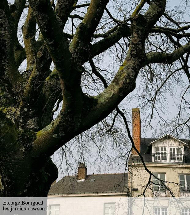 Etetage  bourgueil-37140 les jardins dawson