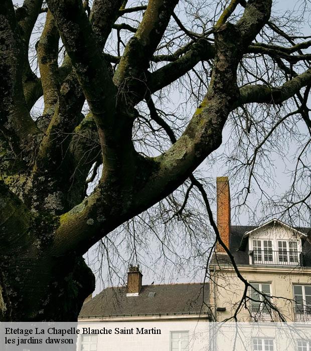 Etetage  la-chapelle-blanche-saint-martin-37240 les jardins dawson