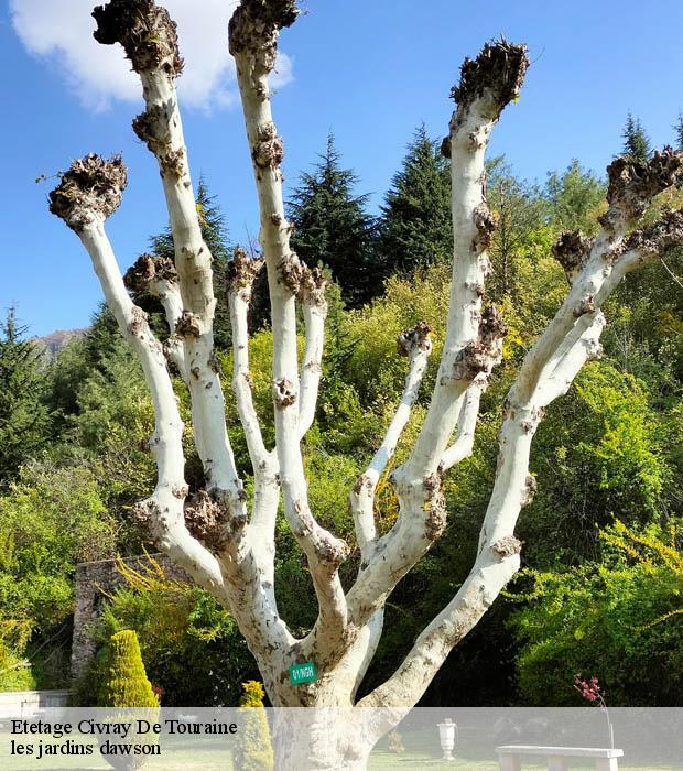 Etetage  civray-de-touraine-37150 les jardins dawson