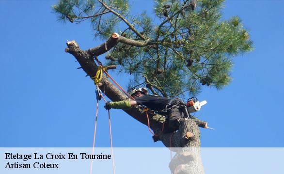 Etetage  la-croix-en-touraine-37150 Artisan Coteux