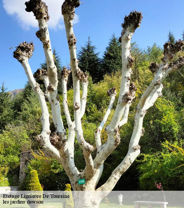 Etetage  lignieres-de-touraine-37130 les jardins dawson
