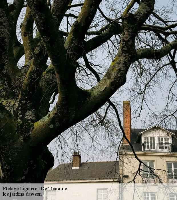 Etetage  lignieres-de-touraine-37130 les jardins dawson