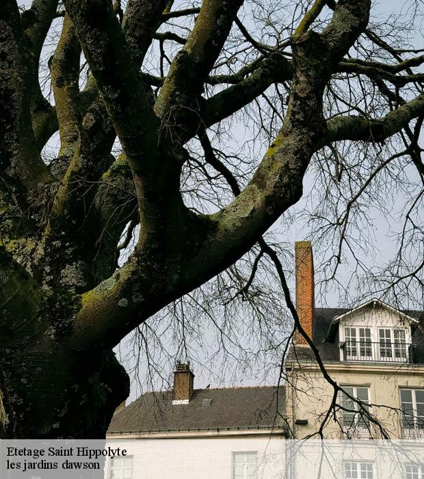 Etetage  saint-hippolyte-37600 les jardins dawson