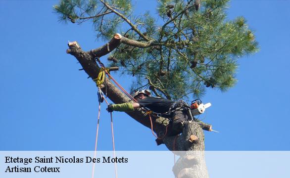 Etetage saint-nicolas-des-motets-37110 Artisan Coteux