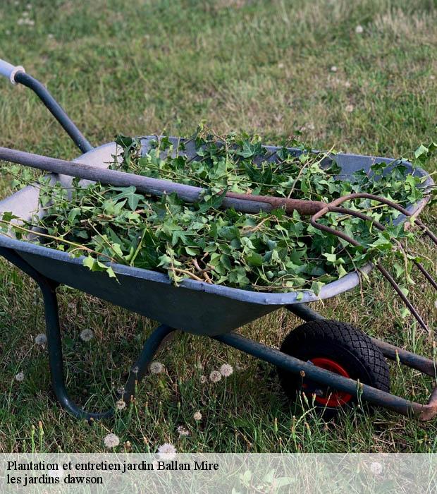 Plantation et entretien jardin  ballan-mire-37510 les jardins dawson