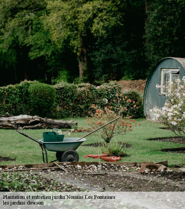 Plantation et entretien jardin  nouans-les-fontaines-37460 les jardins dawson